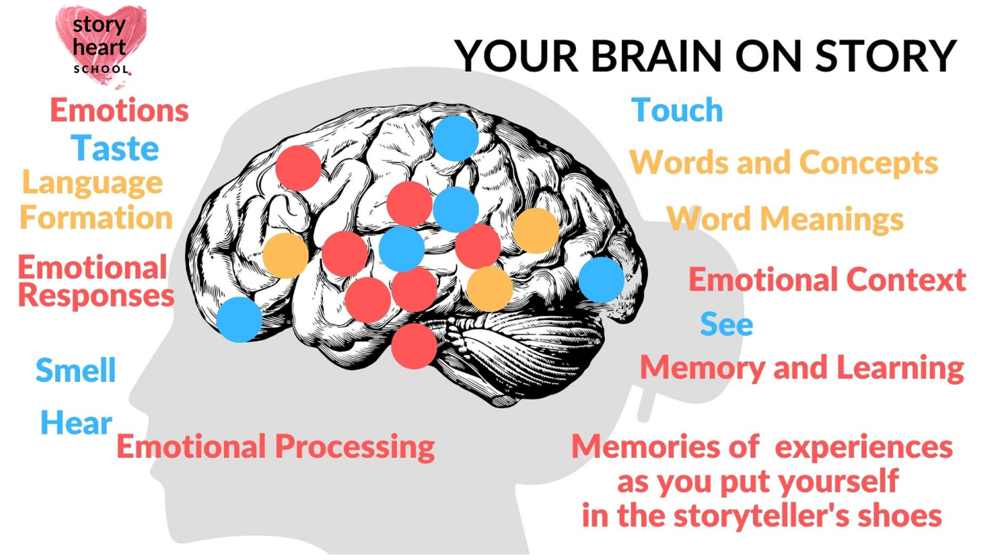 your brain on story